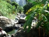 landscape007