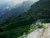 landscape011