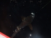dscf1888