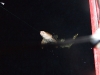 dscf1903