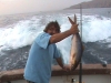 fischen005